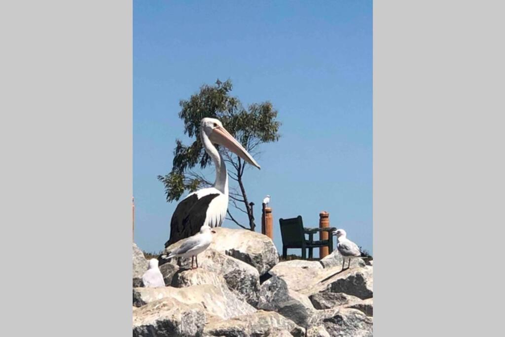 That Seaside Cottage - Fully Equipped Home, 4 Bedrooms On The Foreshore Tooradin Extérieur photo