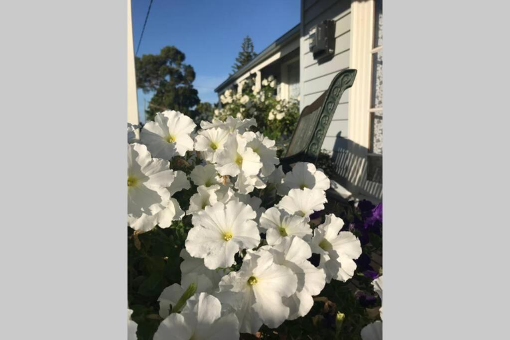 That Seaside Cottage - Fully Equipped Home, 4 Bedrooms On The Foreshore Tooradin Extérieur photo